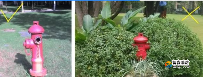 1697171740157520.png image.png